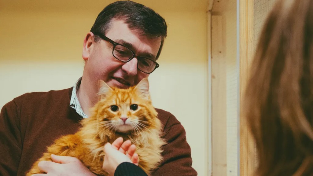 Medewerker van Kattenhotel Caumels met een langharige rode kat op de arm